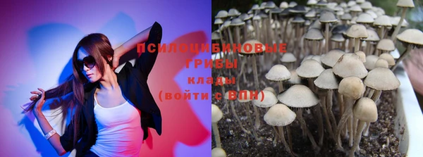 мяу мяу мука Алексин