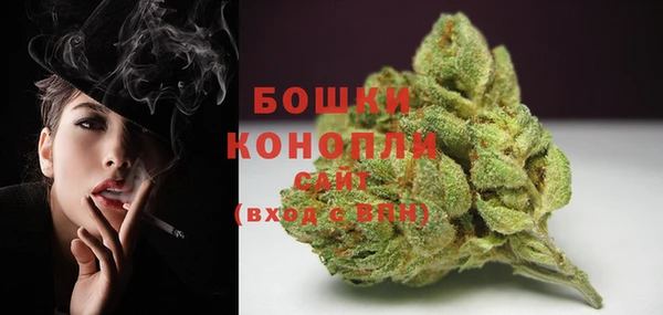 PSILOCYBIN Дубна