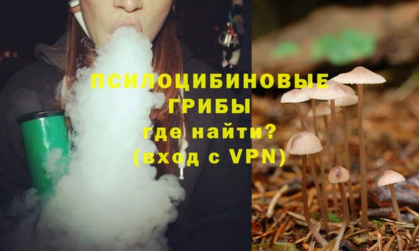мяу мяу мука Алексин