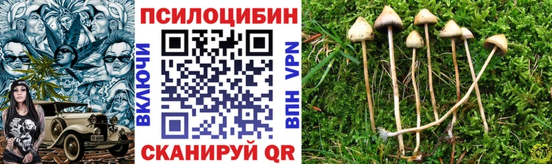 даркнет официальный сайт  Калач-на-Дону  Псилоцибиновые грибы Cubensis  где продают  